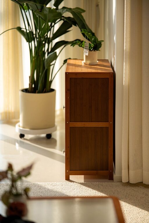 Essential Tips for Keeping Your Houseplants Healthy and Thriving